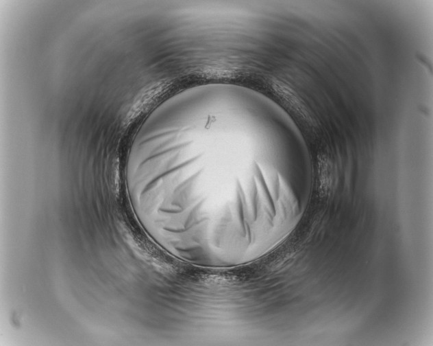 X0000101660494200807311438