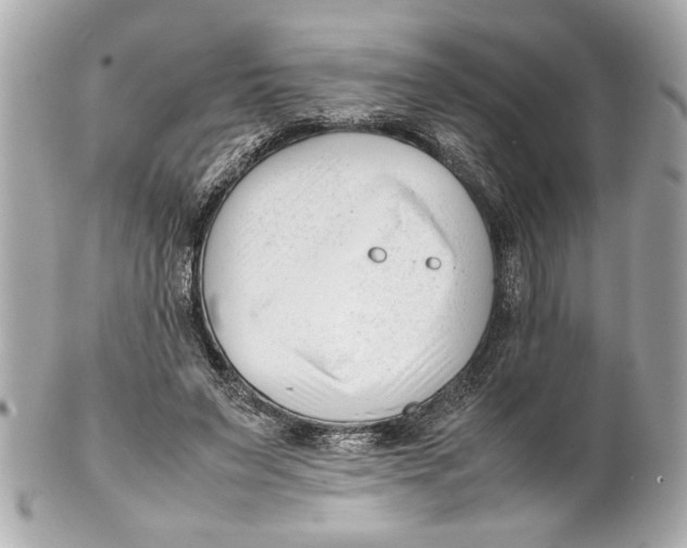 X0000101660495200807311438