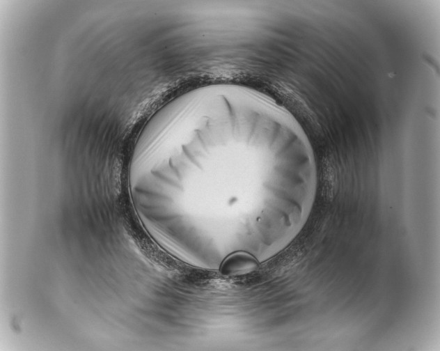 X0000101660496200807311438