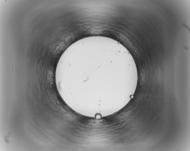 X0000101660497200807311438