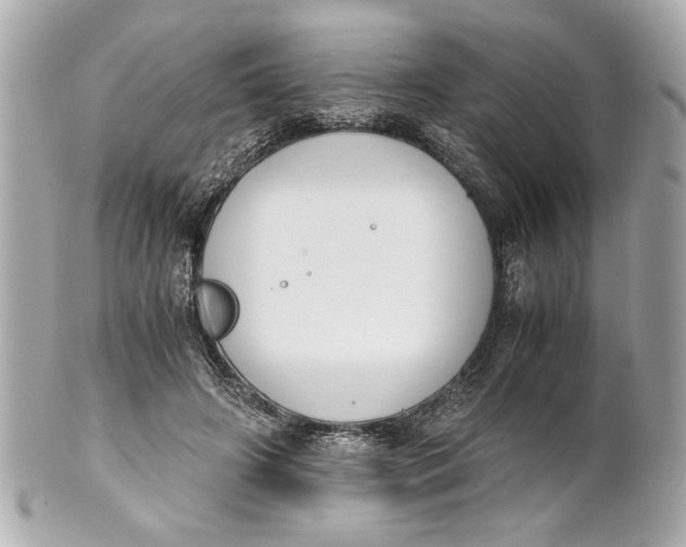 X0000101660498200807311438