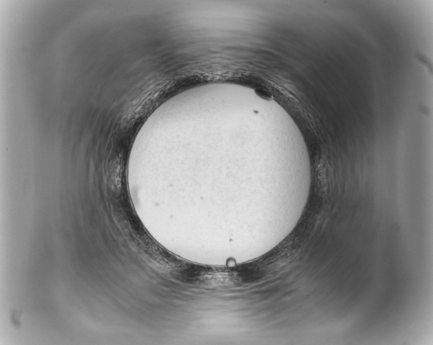 X0000101660499200807311438