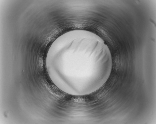 X0000101660500200807311438