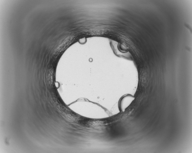 X0000101660501200807311438