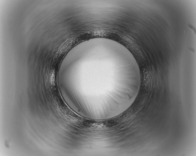 X0000101660502200807311438