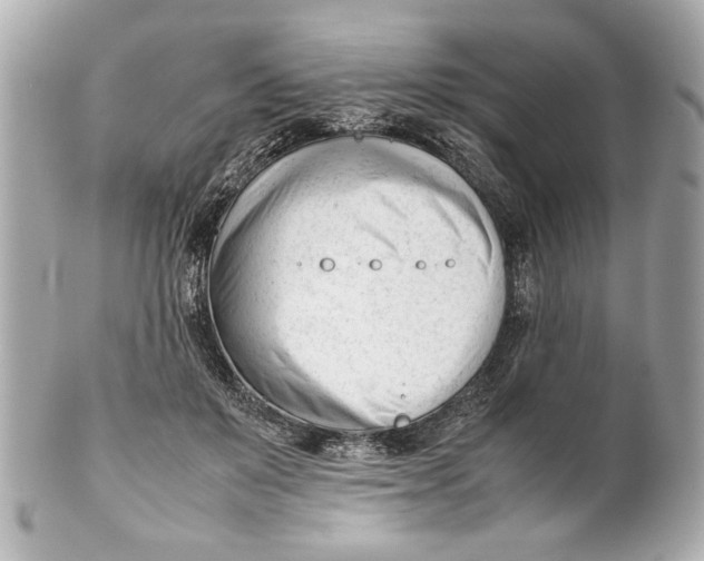 X0000101660503200807311438