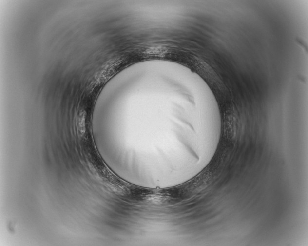 X0000101660504200807311438