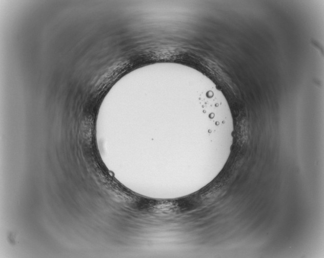 X0000101660505200807311438