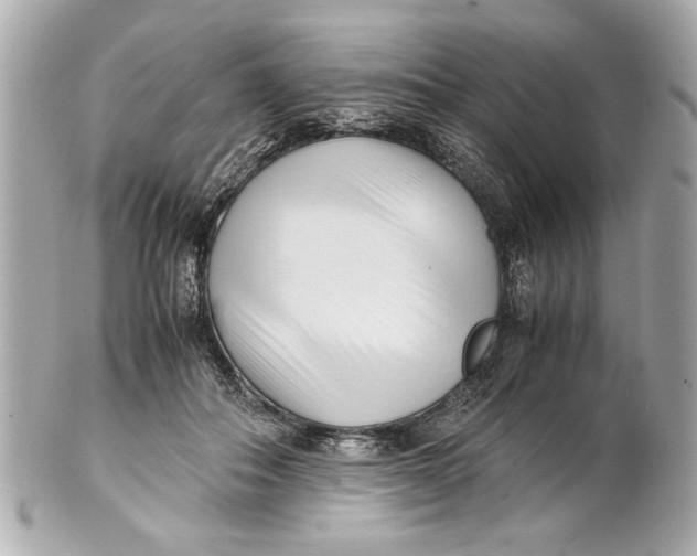 X0000101660506200807311438