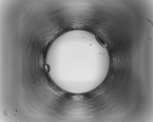 X0000101660508200807311438