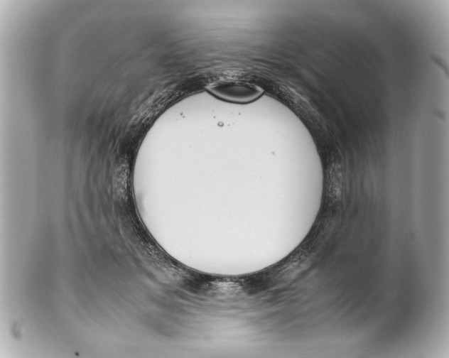 X0000101660509200807311438