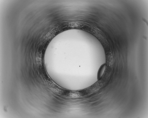 X0000101660510200807311438