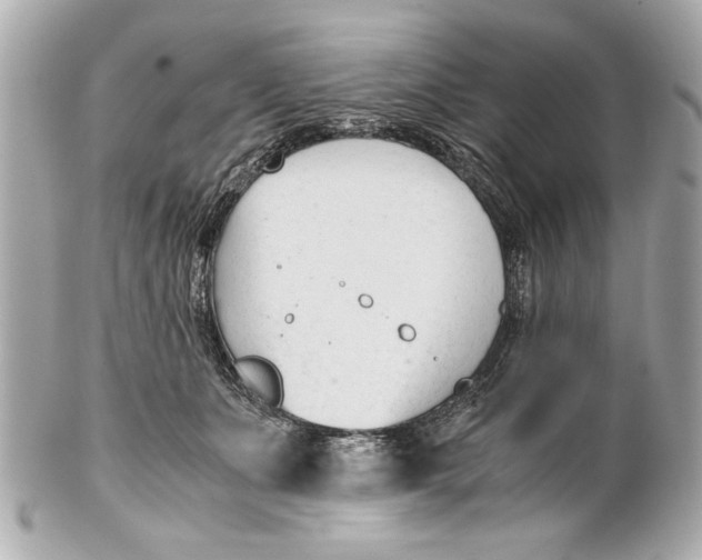 X0000101660511200807311438