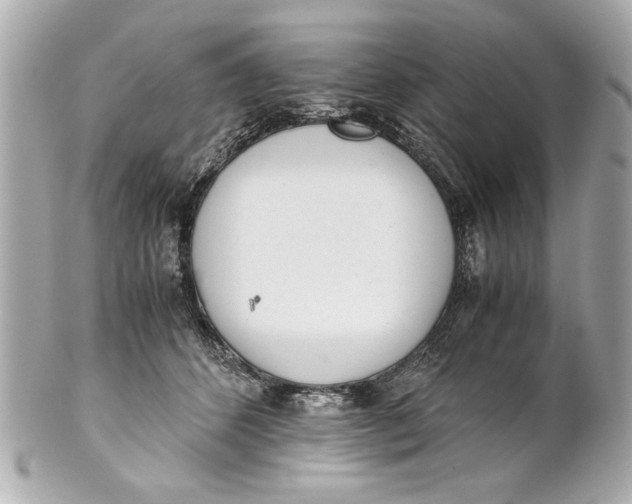 X0000101660512200807311438