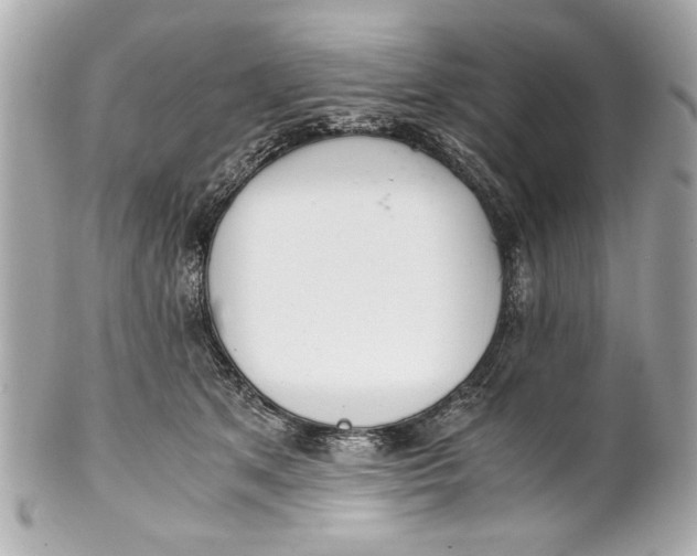 X0000101660513200807311438