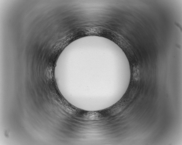 X0000101660514200807311438