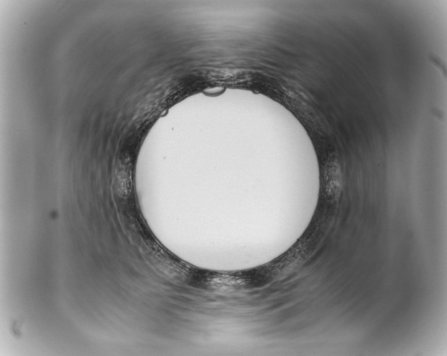 X0000101660515200807311438