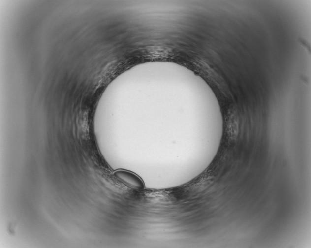 X0000101660516200807311438