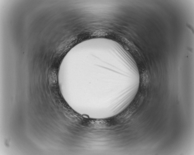 X0000101660517200807311438