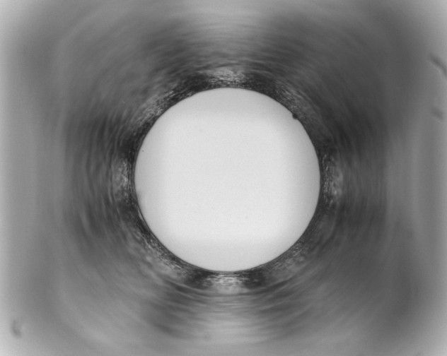 X0000101660518200807311438