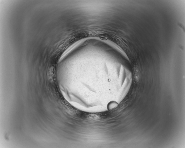 X0000101660519200807311438