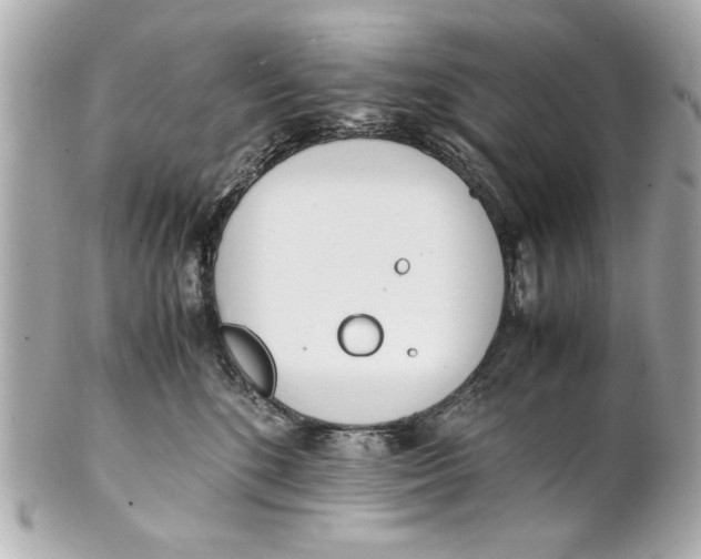 X0000101660520200807311438