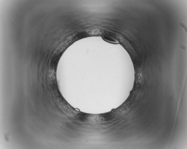 X0000101660521200807311438