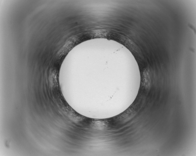 X0000101660522200807311438