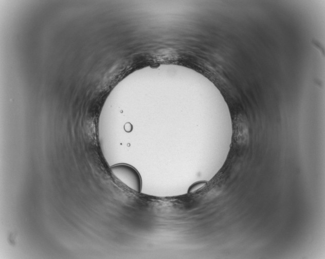 X0000101660523200807311438