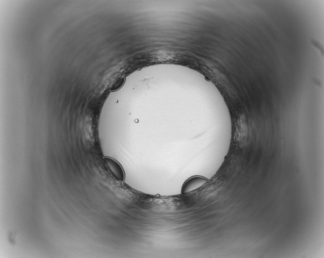 X0000101660524200807311438