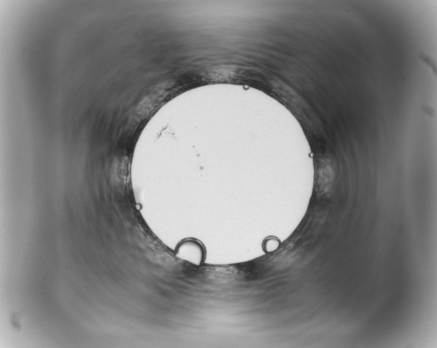 X0000101660525200807311438