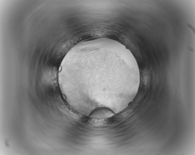 X0000101660526200807311438