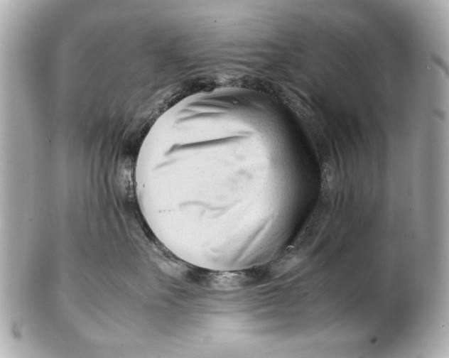 X0000101660527200807311438