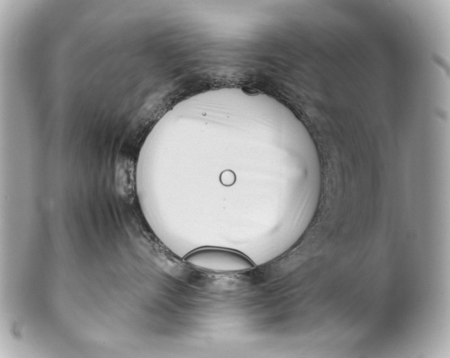 X0000101660528200807311438