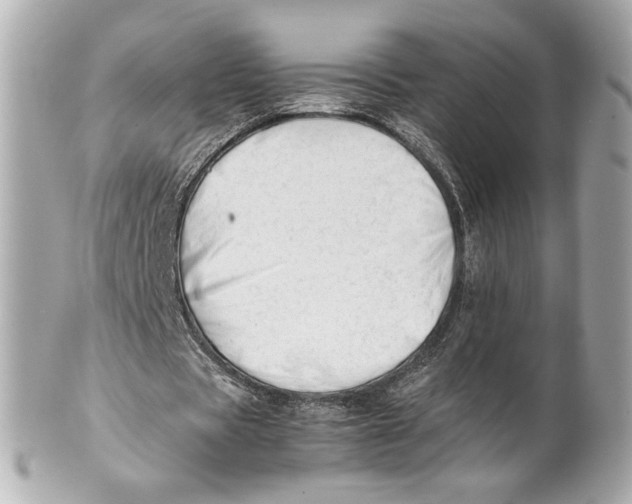 X0000101660529200807311437