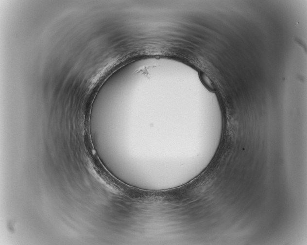 X0000101660530200807311437