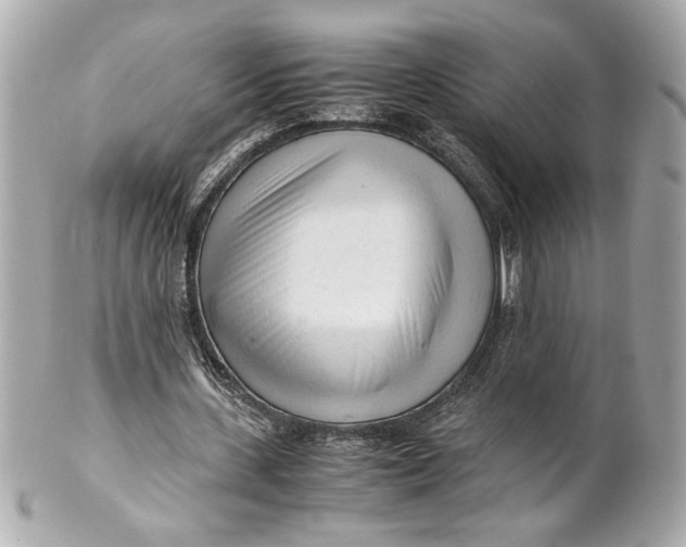 X0000101660531200807311437