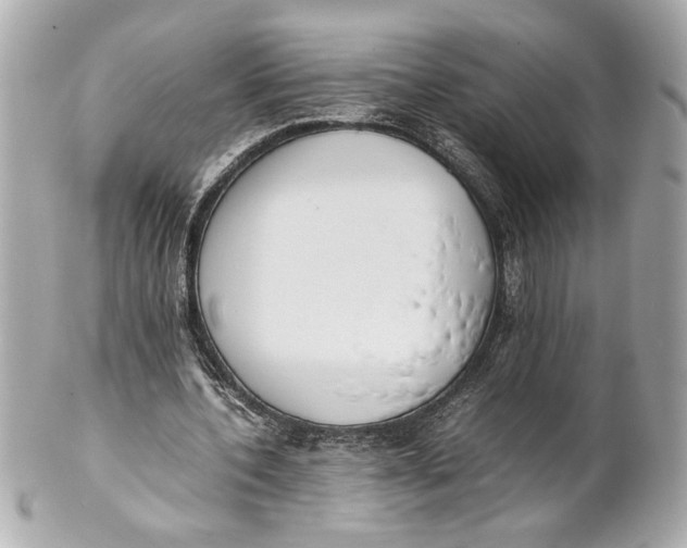 X0000101660532200807311437