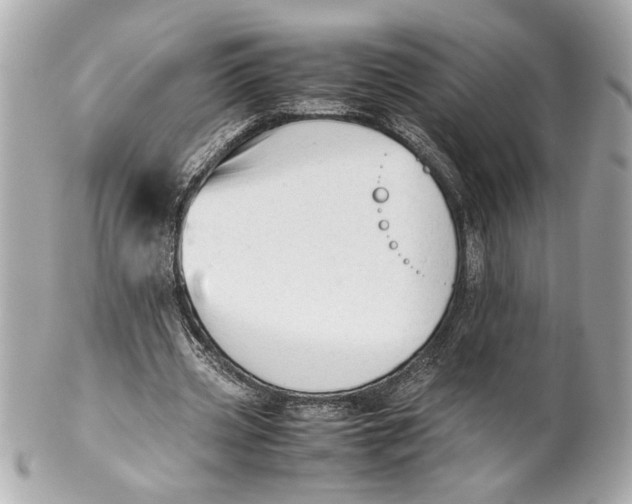 X0000101660533200807311437