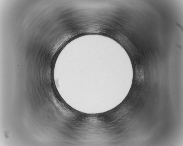 X0000101660534200807311437