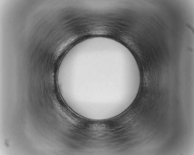 X0000101660535200807311437