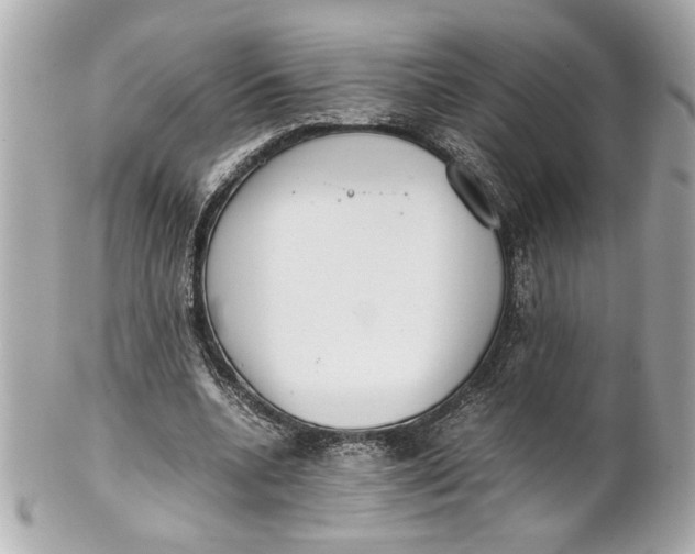 X0000101660536200807311437