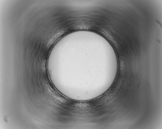 X0000101660537200807311437