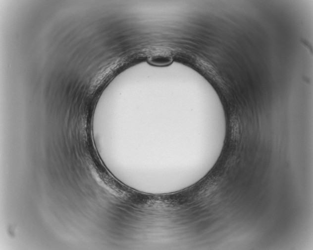 X0000101660538200807311437