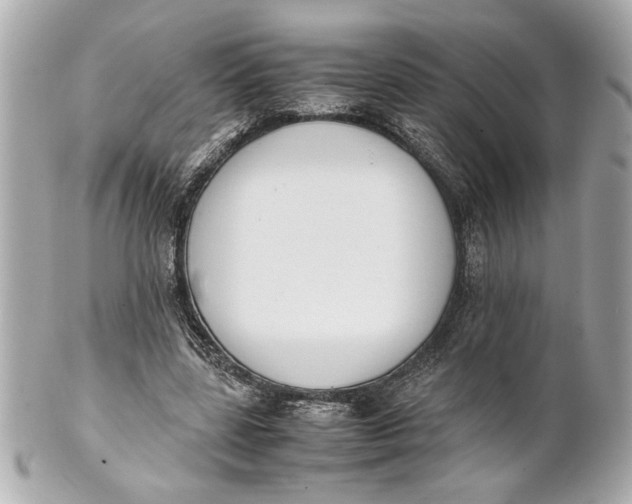 X0000101660539200807311437