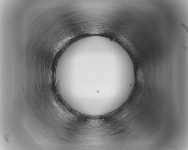 X0000101660540200807311437