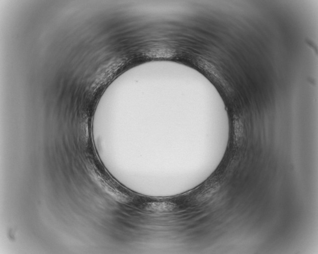 X0000101660541200807311437