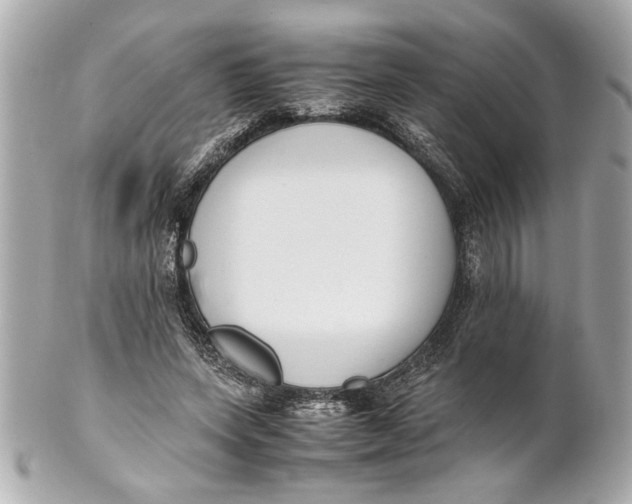 X0000101660543200807311437