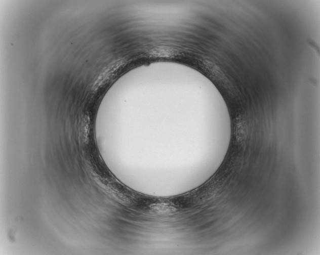 X0000101660544200807311438