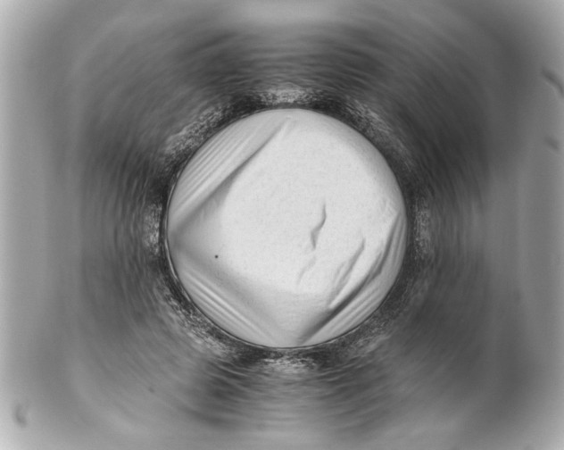 X0000101660545200807311438